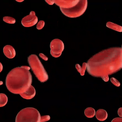 VitalStep™
